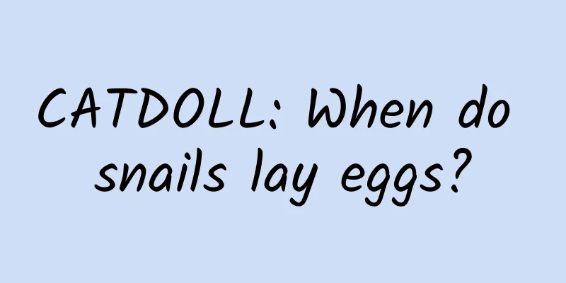 CATDOLL: When do snails lay eggs?