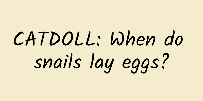 CATDOLL: When do snails lay eggs?