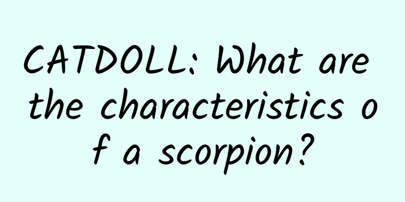 CATDOLL: What are the characteristics of a scorpion?