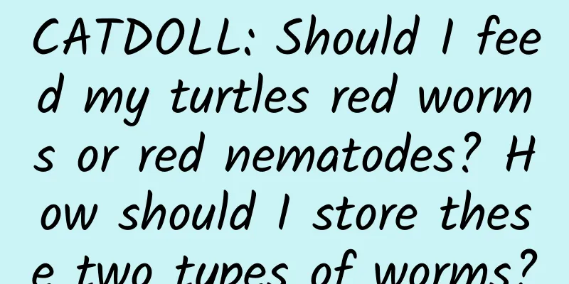 CATDOLL: Should I feed my turtles red worms or red nematodes? How should I store these two types of worms?