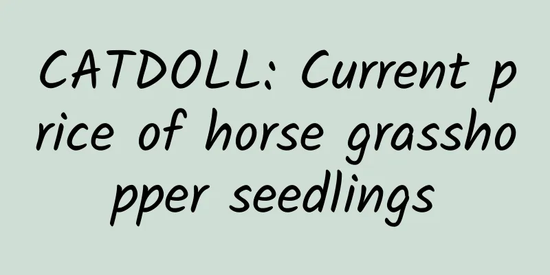 CATDOLL: Current price of horse grasshopper seedlings