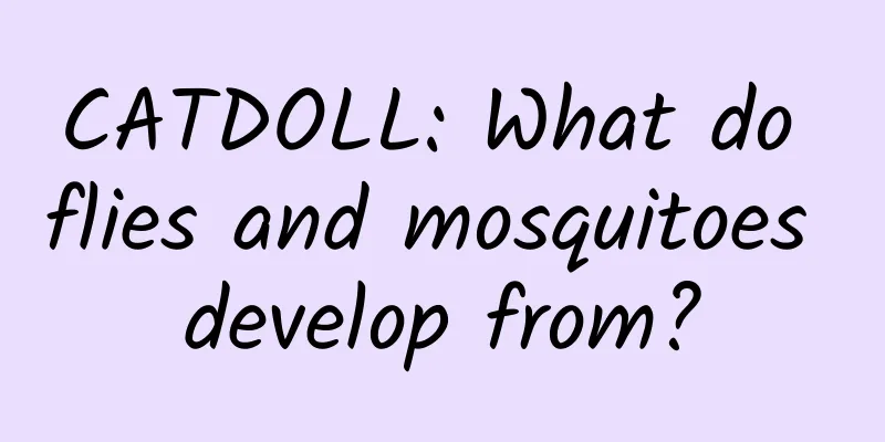 CATDOLL: What do flies and mosquitoes develop from?