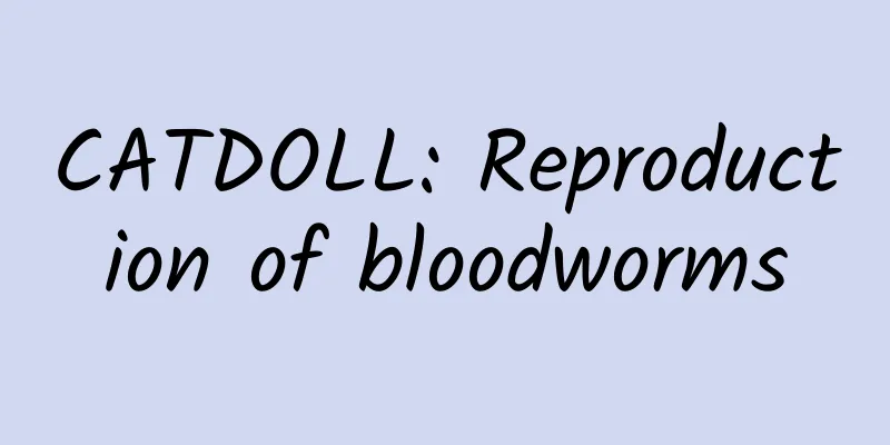 CATDOLL: Reproduction of bloodworms