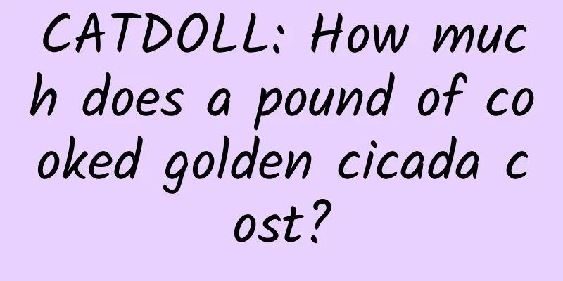 CATDOLL: How much does a pound of cooked golden cicada cost?