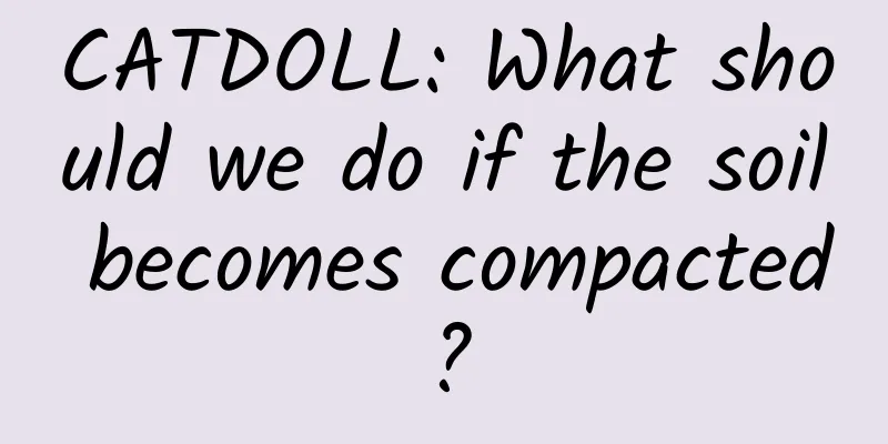 CATDOLL: What should we do if the soil becomes compacted?