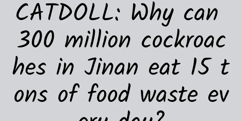 CATDOLL: Why can 300 million cockroaches in Jinan eat 15 tons of food waste every day?