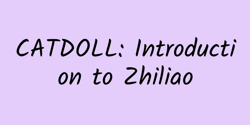 CATDOLL: Introduction to Zhiliao