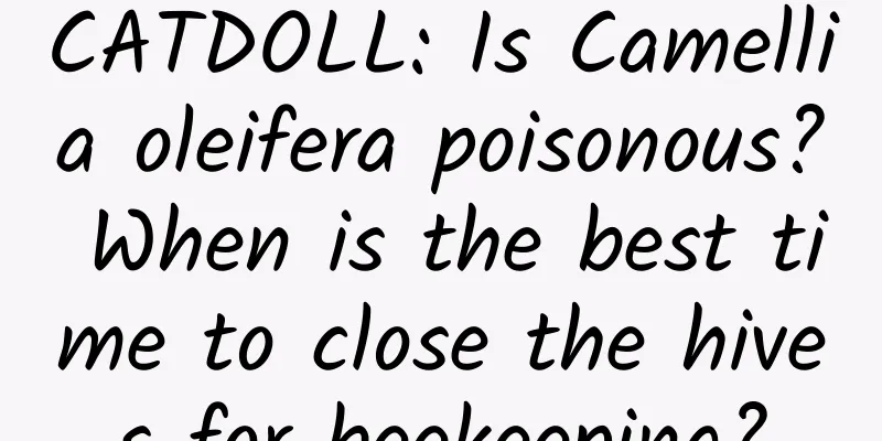CATDOLL: Is Camellia oleifera poisonous? When is the best time to close the hives for beekeeping?