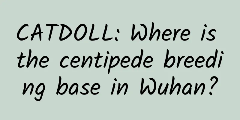 CATDOLL: Where is the centipede breeding base in Wuhan?