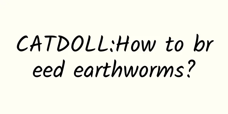 CATDOLL:How to breed earthworms?