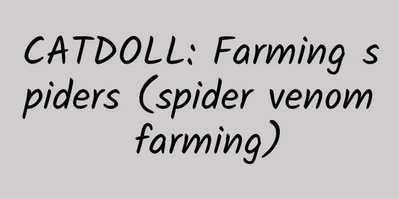 CATDOLL: Farming spiders (spider venom farming)