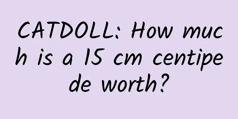 CATDOLL: How much is a 15 cm centipede worth?