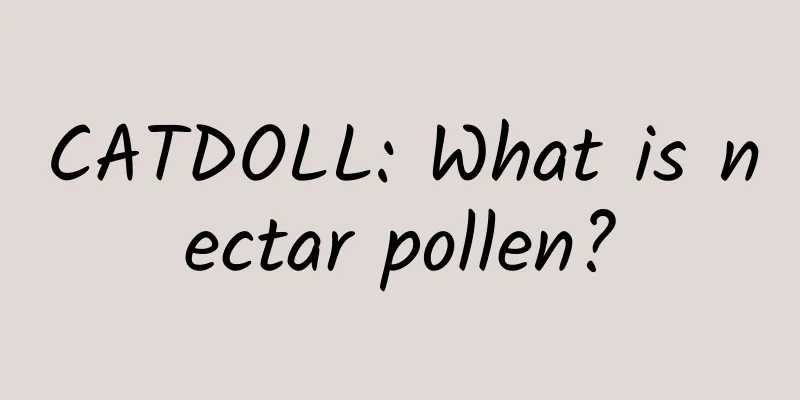 CATDOLL: What is nectar pollen?