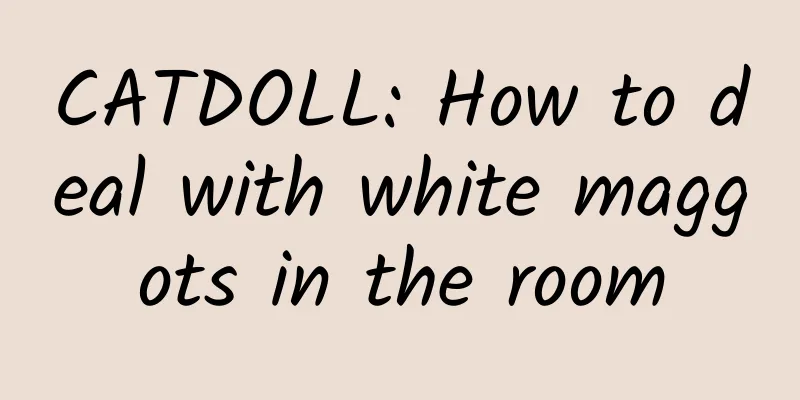 CATDOLL: How to deal with white maggots in the room
