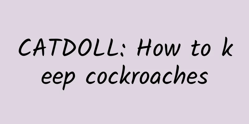 CATDOLL: How to keep cockroaches