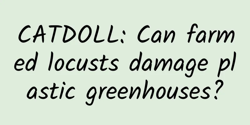 CATDOLL: Can farmed locusts damage plastic greenhouses?