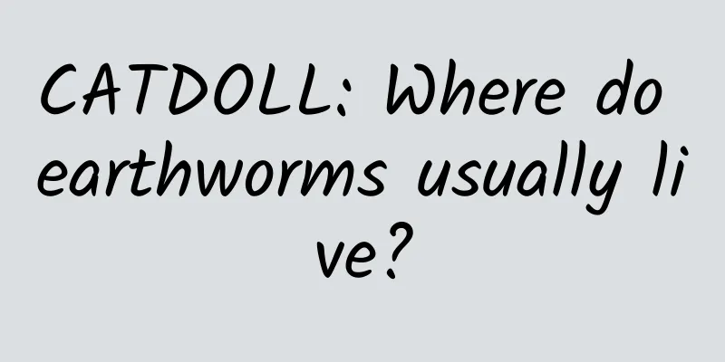 CATDOLL: Where do earthworms usually live?