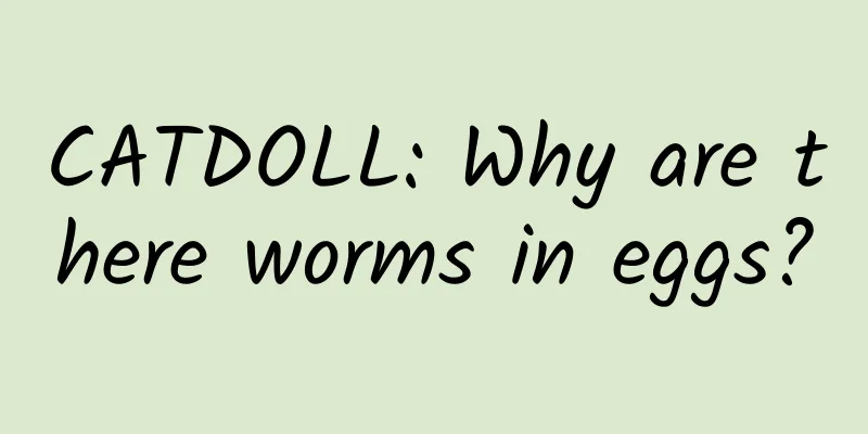 CATDOLL: Why are there worms in eggs?