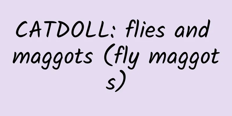CATDOLL: flies and maggots (fly maggots)
