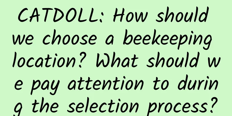 CATDOLL: How should we choose a beekeeping location? What should we pay attention to during the selection process?