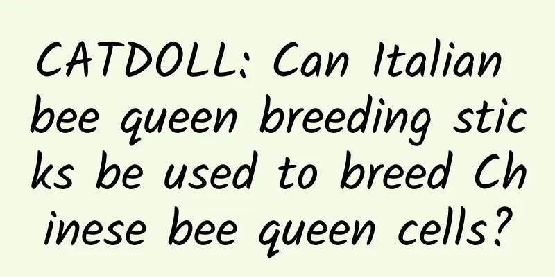 CATDOLL: Can Italian bee queen breeding sticks be used to breed Chinese bee queen cells?