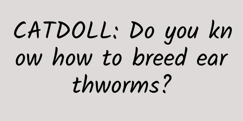 CATDOLL: Do you know how to breed earthworms?