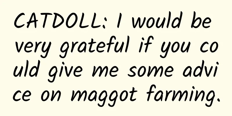 CATDOLL: I would be very grateful if you could give me some advice on maggot farming.