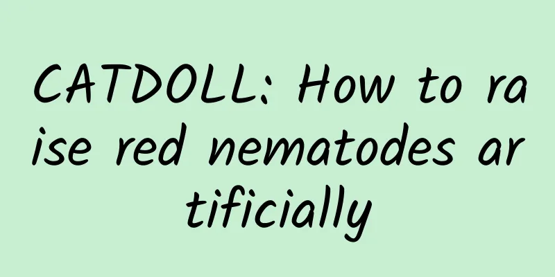 CATDOLL: How to raise red nematodes artificially