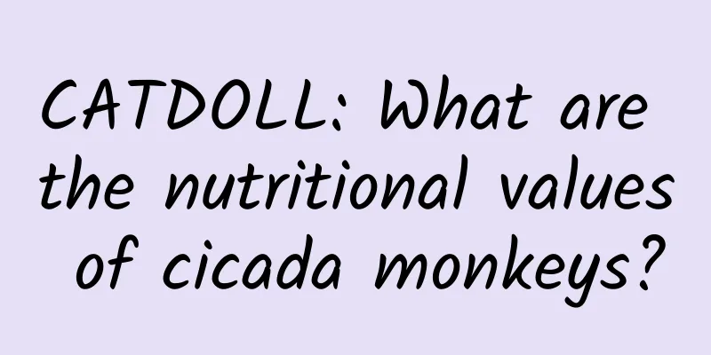 CATDOLL: What are the nutritional values ​​of cicada monkeys?