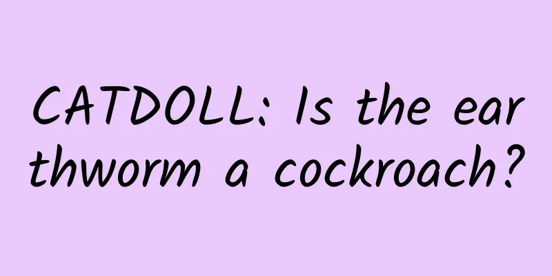 CATDOLL: Is the earthworm a cockroach?