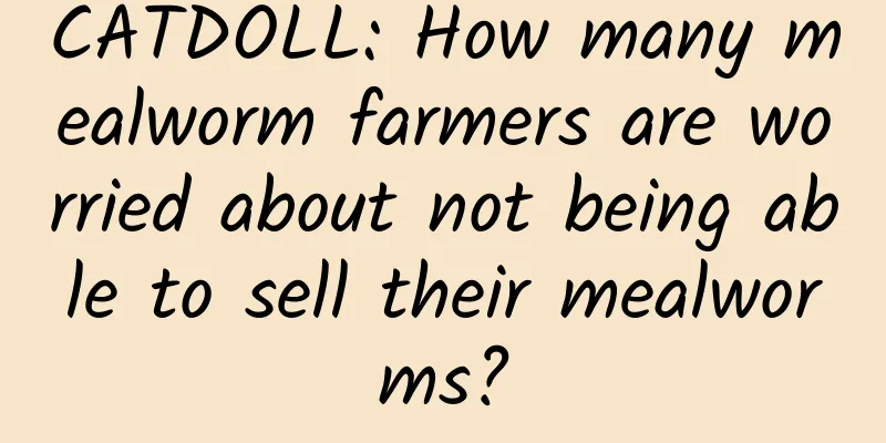 CATDOLL: How many mealworm farmers are worried about not being able to sell their mealworms?