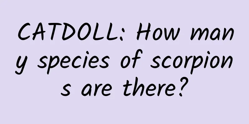 CATDOLL: How many species of scorpions are there?