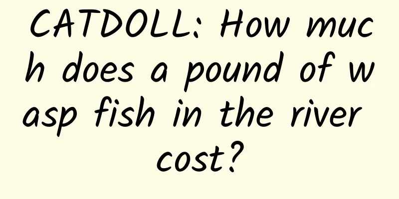 CATDOLL: How much does a pound of wasp fish in the river cost?