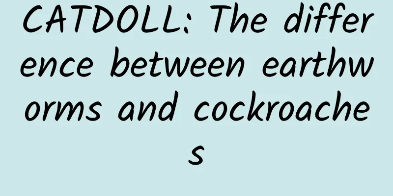 CATDOLL: The difference between earthworms and cockroaches