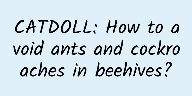 CATDOLL: How to avoid ants and cockroaches in beehives?
