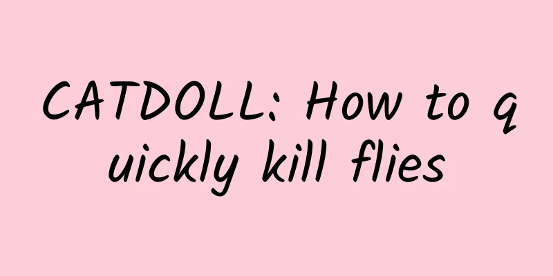 CATDOLL: How to quickly kill flies