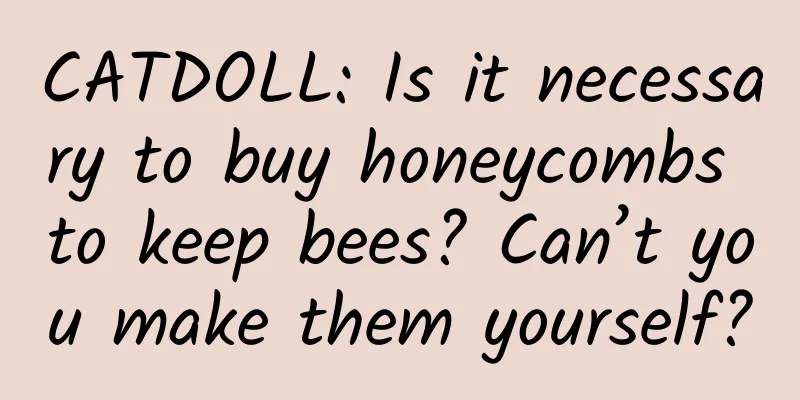 CATDOLL: Is it necessary to buy honeycombs to keep bees? Can’t you make them yourself?