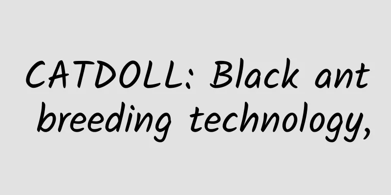 CATDOLL: Black ant breeding technology,