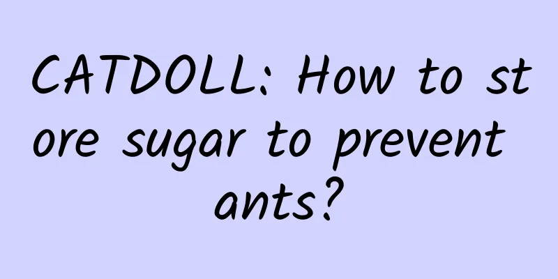 CATDOLL: How to store sugar to prevent ants?