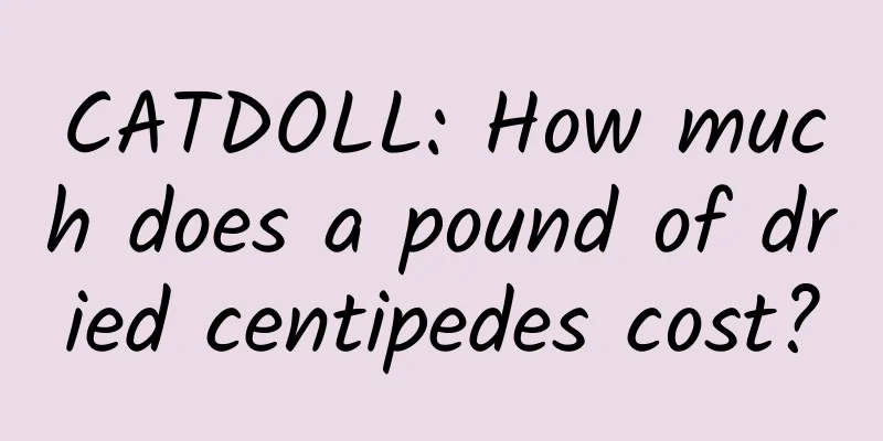 CATDOLL: How much does a pound of dried centipedes cost?