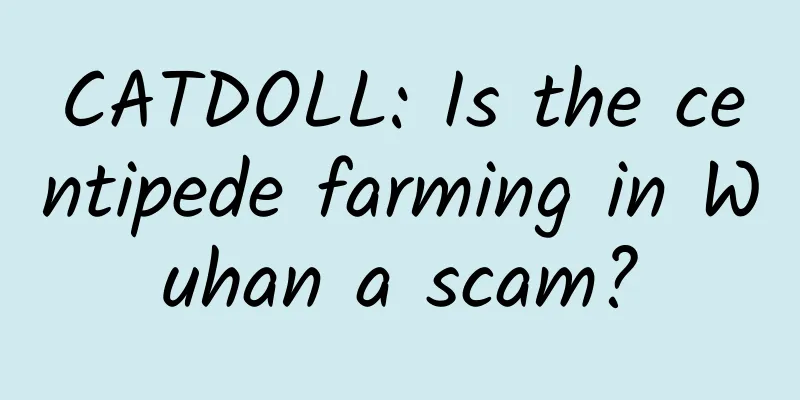 CATDOLL: Is the centipede farming in Wuhan a scam?