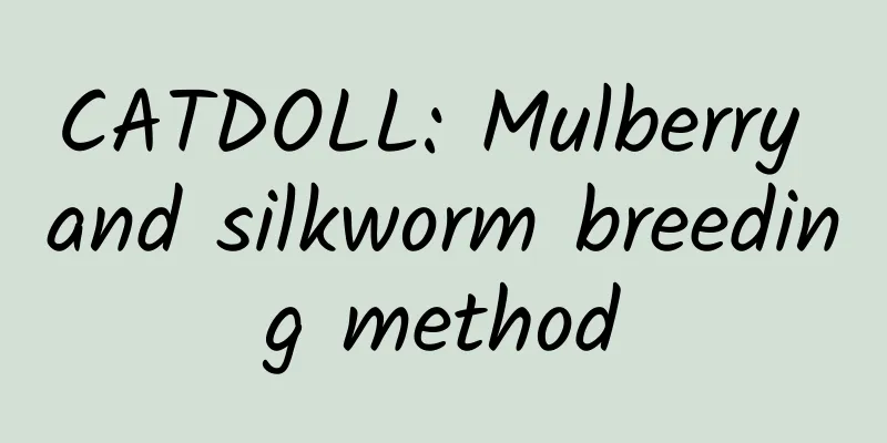 CATDOLL: Mulberry and silkworm breeding method