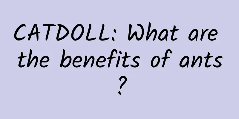 CATDOLL: What are the benefits of ants?