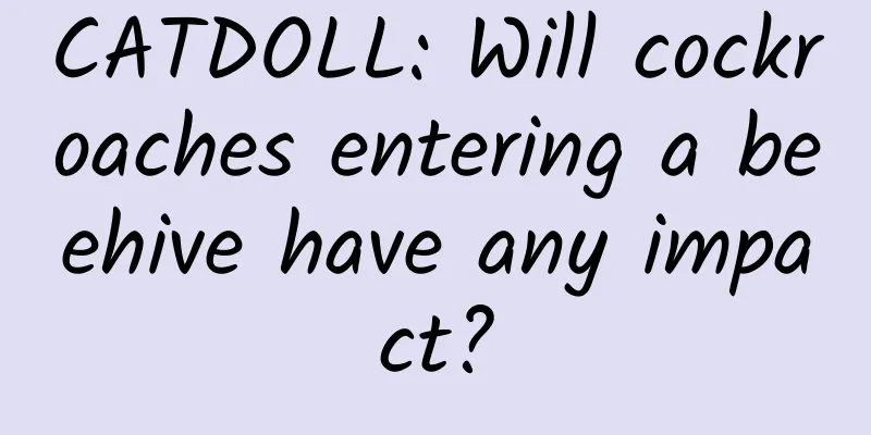 CATDOLL: Will cockroaches entering a beehive have any impact?