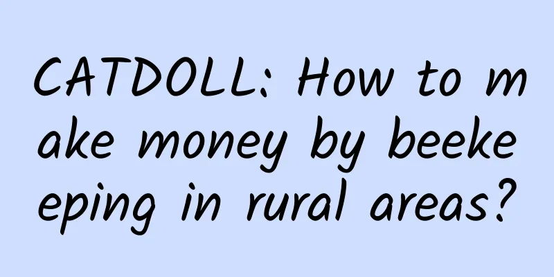 CATDOLL: How to make money by beekeeping in rural areas?