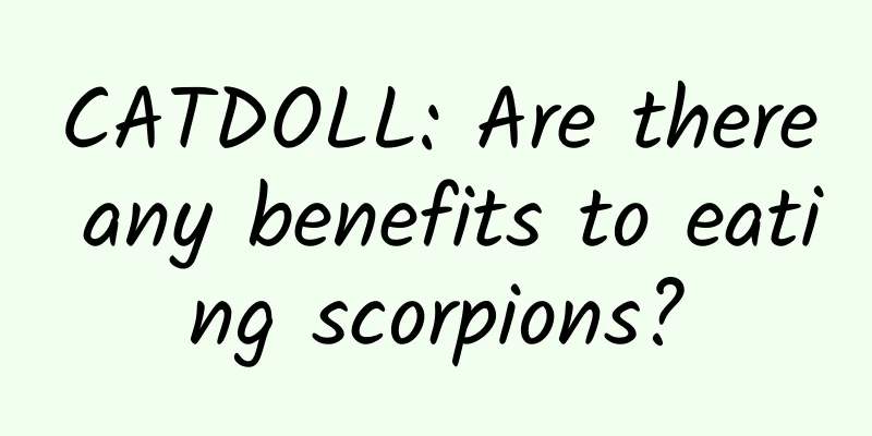 CATDOLL: Are there any benefits to eating scorpions?