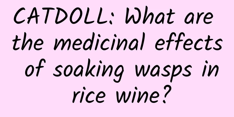 CATDOLL: What are the medicinal effects of soaking wasps in rice wine?