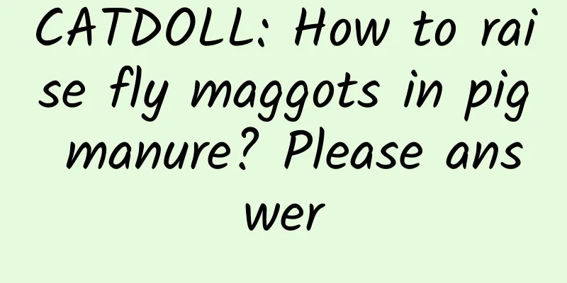CATDOLL: How to raise fly maggots in pig manure? Please answer