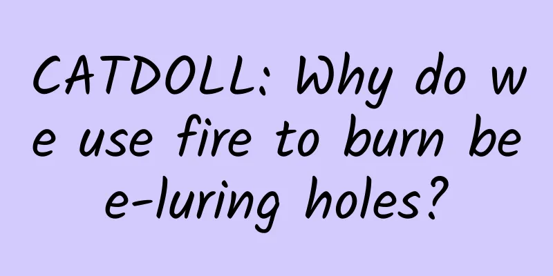 CATDOLL: Why do we use fire to burn bee-luring holes?