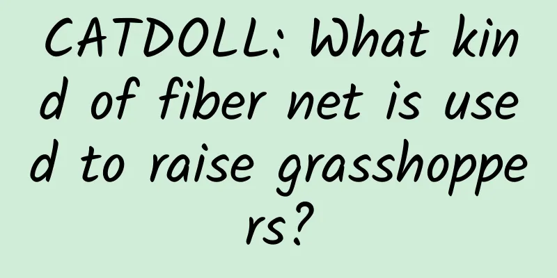CATDOLL: What kind of fiber net is used to raise grasshoppers?
